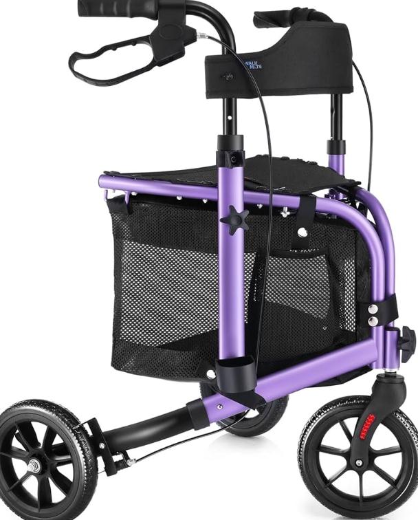 Руководство по покупке роликовых ходунков